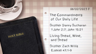 The Commandments of Our Daily Life